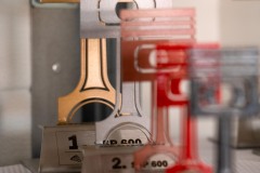 paddock_okruhari_jul_230719_0045