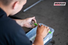 paddock_okruhari_230626_040
