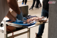 okruhari_paddock_jedlo_220919_0018